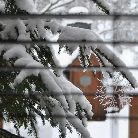 齐润茵内别墅 别墅 *