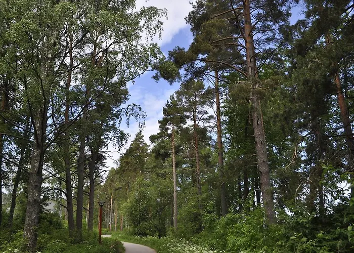 Willa Kiurunrinne Imatra